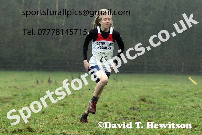 Boys under-15s, NECAA Junior Cross Country Relays, Thornley Farm, Peterlee, Saturday, December 12th. Photo: David T. Hewitson/Sports for All Pics